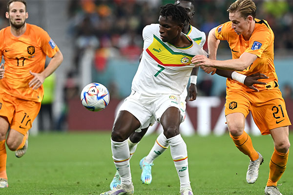 Kết quả Senegal vs Hà Lan: Gục ngã ở những phút cuối cùng