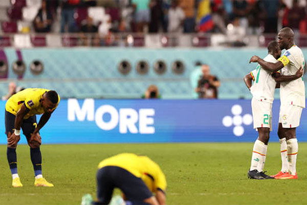 Kết quả Ecuador vs Senegal: Tiếc cho đội tuyển Nam Mỹ