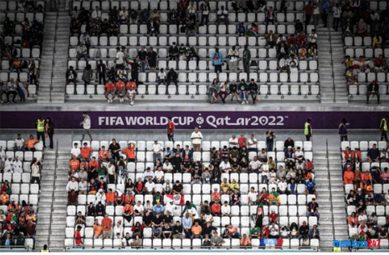 Số lượng CĐV đến xem Senegal vs Hà Lan vượt quá sức chứa SVĐ - Ảnh 1