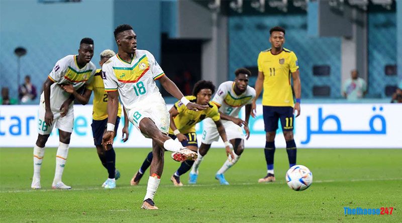 Kết quả Ecuador vs Senegal - Ảnh 1