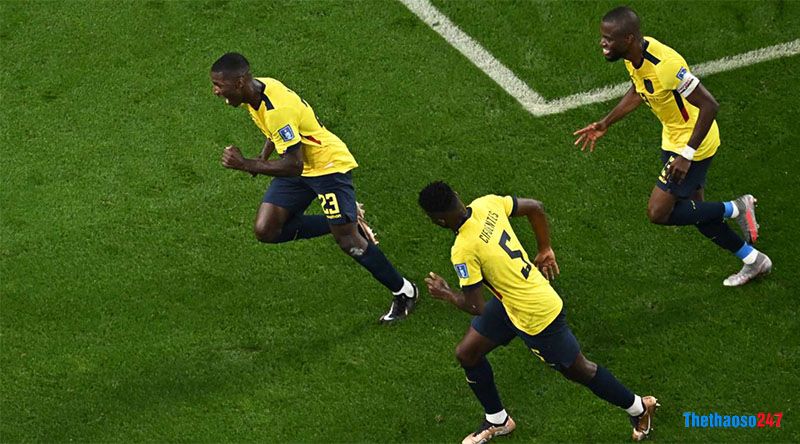 Kết quả Ecuador vs Senegal - Ảnh 2
