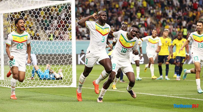Kết quả Ecuador vs Senegal - Ảnh 3