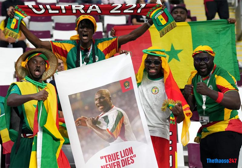 Senegal đại thắng trong ngày giỗ huyền thoại Papa Bouba Diop - Ảnh 1