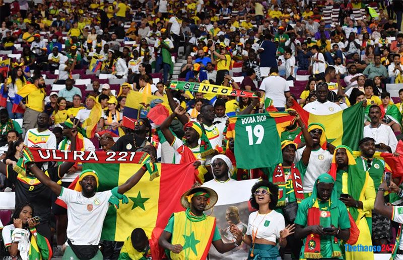 Senegal đại thắng trong ngày giỗ huyền thoại Papa Bouba Diop - Ảnh 2